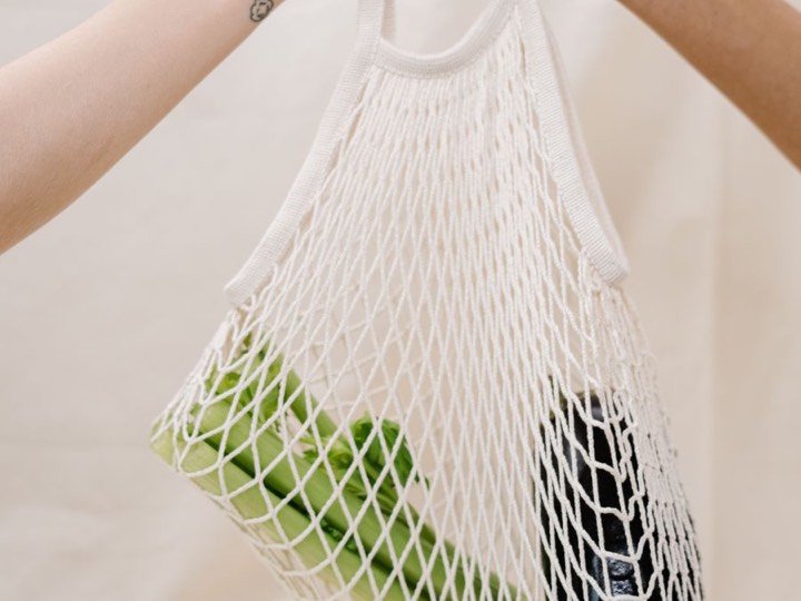 Hands holding a mesh bag filled with fresh vegetables